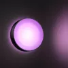 Lauko sieninis šviestuvas Philips Hue White and colour ambience Daylo