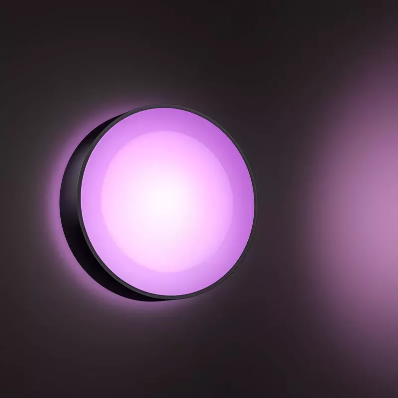 Lauko sieninis šviestuvas Philips Hue White and colour ambience Daylo
