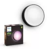 Lauko sieninis šviestuvas Philips Hue White and colour ambience Daylo
