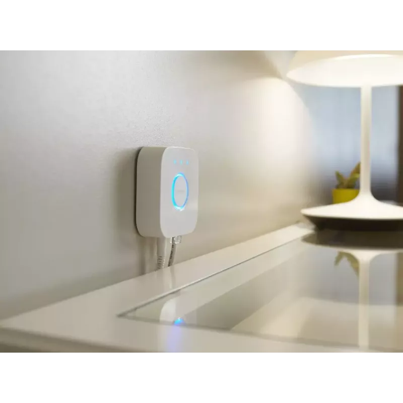 Philips Hue Bridge 8719514342620