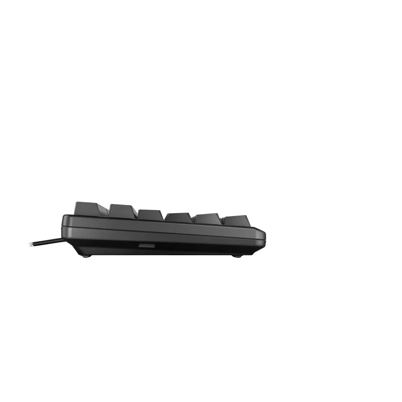 CHERRY G80-3000N RGB TKL klaviatūra universali USB QWERTZ vokiška juoda