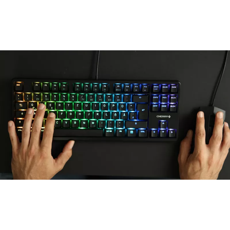CHERRY G80-3000N RGB TKL klaviatūra universali USB QWERTZ vokiška juoda