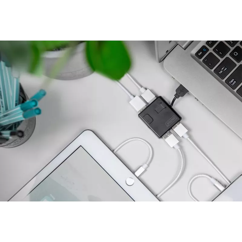 DIGITUS USB 2.0 didelės spartos 4 prievadų šakotuvas (da-70217)