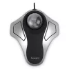 Kensington Orbit Optical Trackball, abiem rankoms tinkama, optinis, USB Type-A, sidabrinis