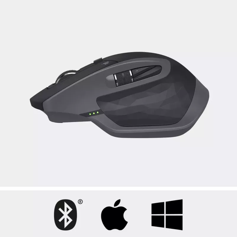 Pelė Logitech MX Master 2S RF belaidė + Bluetooth