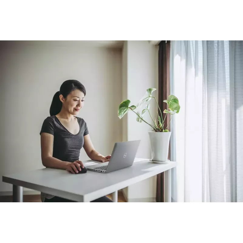pelė Dell MS300 Full-Size Wireless