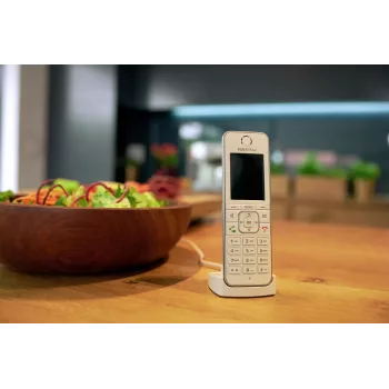 Fon FRITZ C6 DECT telefonas su skambintojo ID baltas