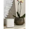 D-Link COVR AX1800 dviejų juostų viso namo tinklo „Wi‑Fi 6“ sistema
