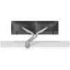 Neomounts DS70-250SL2 Monitor laikiklis 17-32 colių - dujinė spyruoklė - Topfix - 180° stabdiklis
