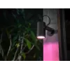 Prožektorius išmanusis Philips Hue White and colour ambience Lily Outdoor spot light 1741430P7