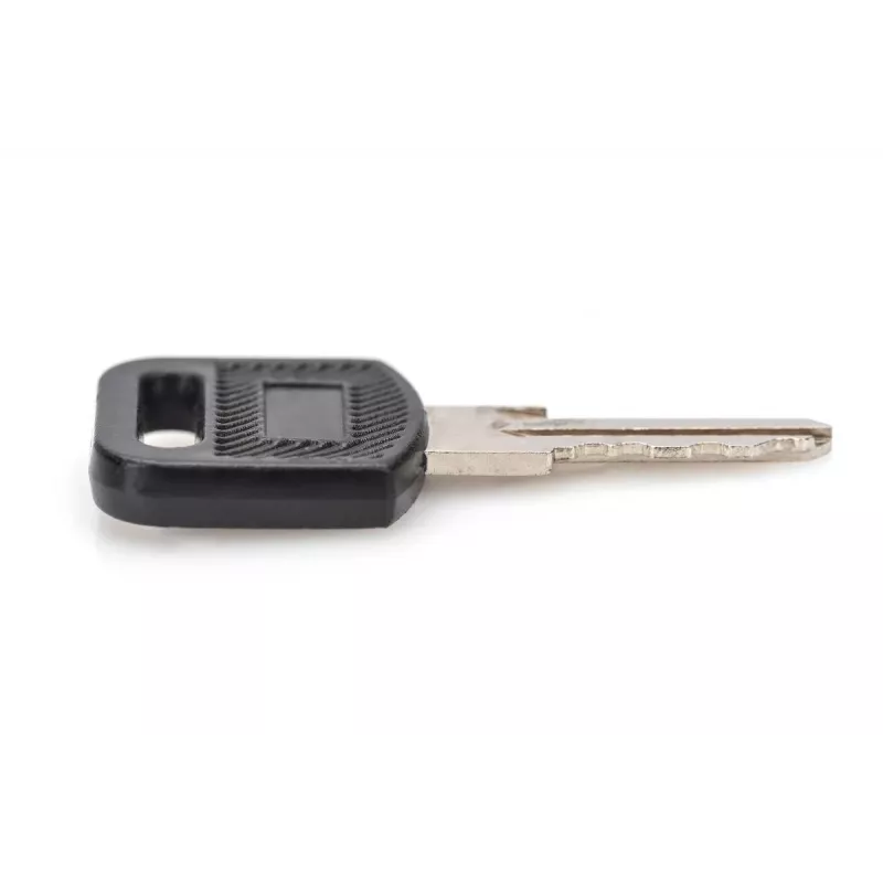 Užrakinimo raktas sieniniams korpusams DIGITUS DN-KEY-WM — Dynamic serija, SOHO 10 colių ir 19 colių serija, įkrovimo spintelės (2 vnt.)