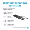 HP 150 laidinė pelė ir klaviatūra