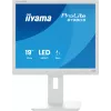 iiyama ProLite B1980S-W1 kompiuterio monitorius 48,3 cm (19 colių) 1280 x 1024 pikseliai SVGA LED Baltas