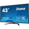 iiyama ProLite X4373UHSU-B1 kompiuterio monitorius 108 cm (42,5 colio) 3840 x 2160 pikselių 4K Ultra HD juodas