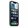 APPLE Apple Silikoninis Dėklas iPhone 16e Lake Green