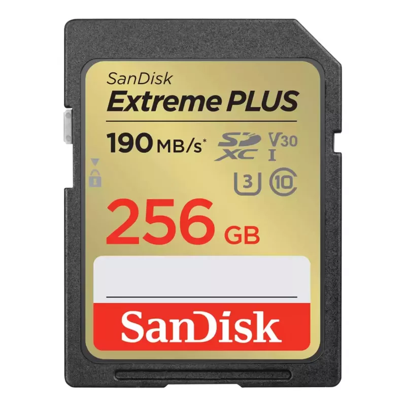 WESTERN DIGITAL Extreme PLUS 256 GB SDHC atminties kortelė 190 MB/s 130 MB/s UHS-I Class 10 U3 V30