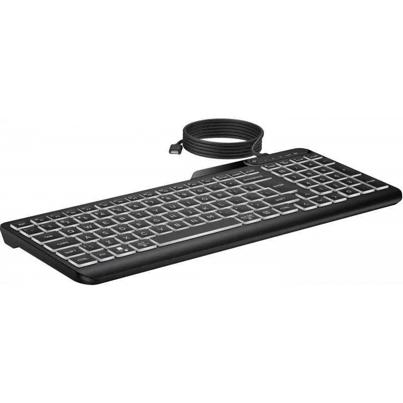 HP 405 daugiaįrenginė apšviesta laidinė klaviatūra, pilno dydžio (100%), laidinė, USB, membraninė, QWERTY, juoda