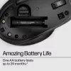 HP 430 belaidė pelė keliems įrenginiams, ambidekstrinė, optinė, RF belaidė + Bluetooth, 1200 DPI, juoda