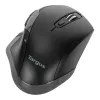 Targus AMW584GL pelė dešiniarankiams RF belaidė Blue Trace 1600 DPI
