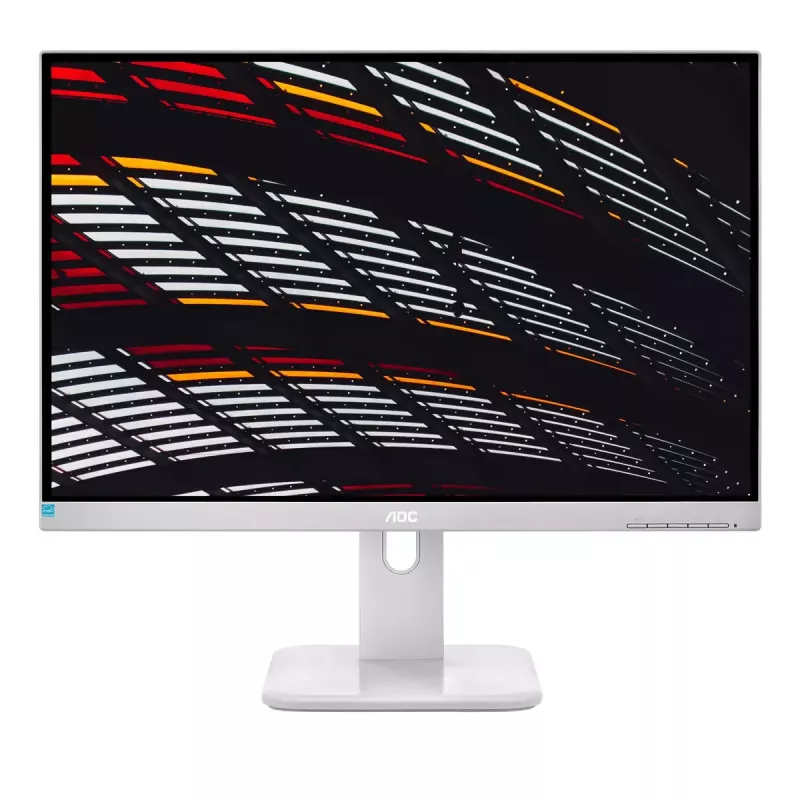 AOC P1 X24P1/GR kompiuterio monitorius 61 cm (24 colių) 1920 x 1200 pikselių WUXGA LED pilkas