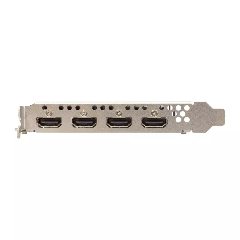 Grafikos plokštė Sparkle Intel Arc A310 OMNI View — 4 GB GDDR6, 2000 MHz, PCIe 4.0 x8