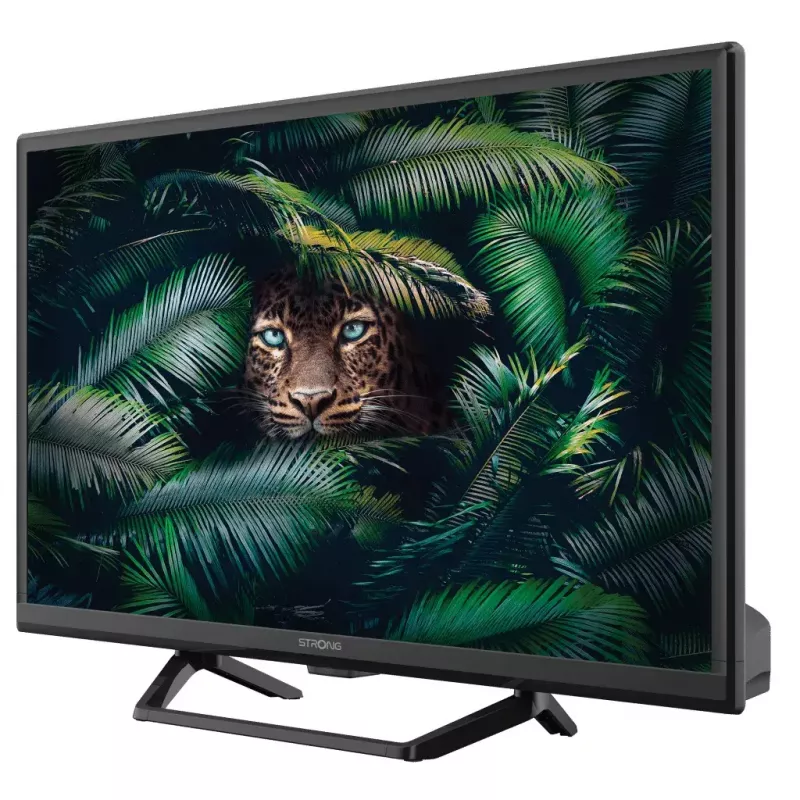 Televizorius Strong SRT 24HE4023C 24 colių HD LCD 1366 x 768