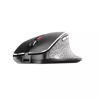 CHERRY MW 8C ERGO pelė dešinei rankai RF Wireless + Bluetooth Optinė 3000 DPI