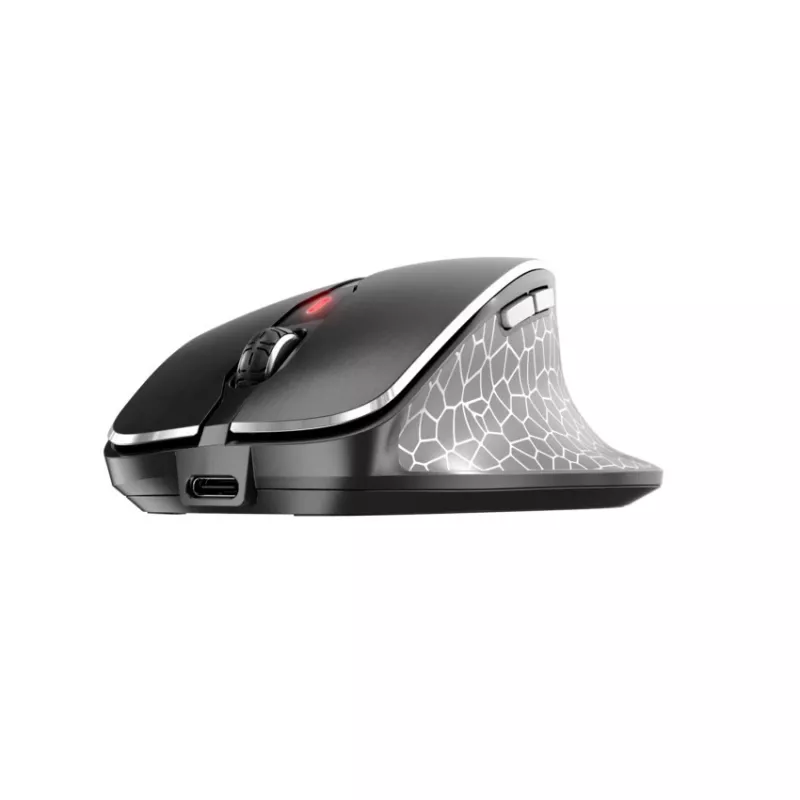 CHERRY MW 8C ERGO pelė dešinei rankai RF Wireless + Bluetooth Optinė 3000 DPI