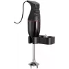 ESGE M 100 D Panardomasis blenderis 120 W Juodas