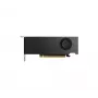 NVIDIA grafikos plokštė RTX 2000 - Ada mažmeninė