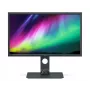 BenQ SW321C kompiuterio monitorius 81,3 cm (32 coliai) 3840 x 2160 pikselių 4K Ultra HD LED Pilka