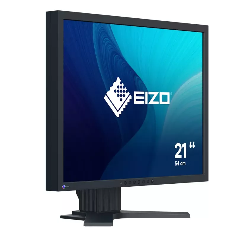 Monitorius EIZO FlexScan S2134 21,3 colio LED DisplayPort DVI-D VGA