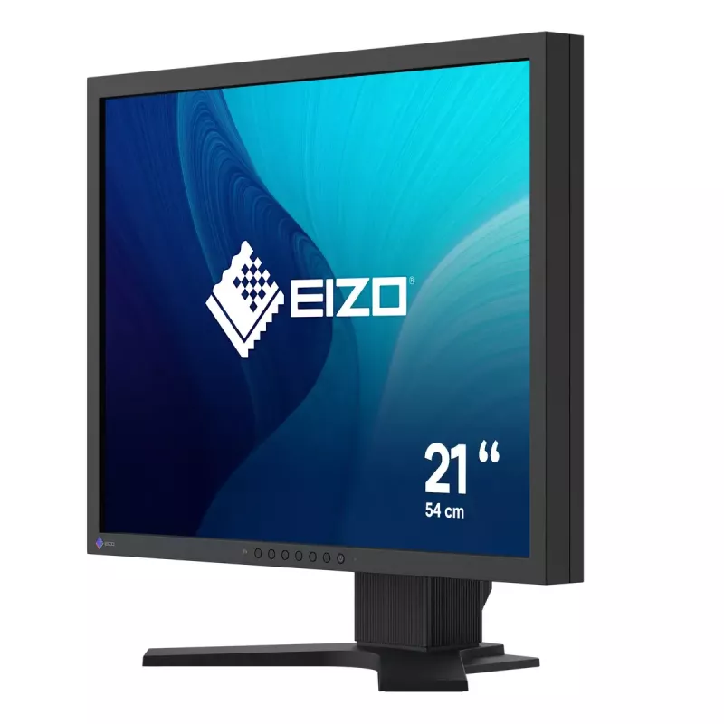 Monitorius EIZO FlexScan S2134 21,3 colio LED DisplayPort DVI-D VGA