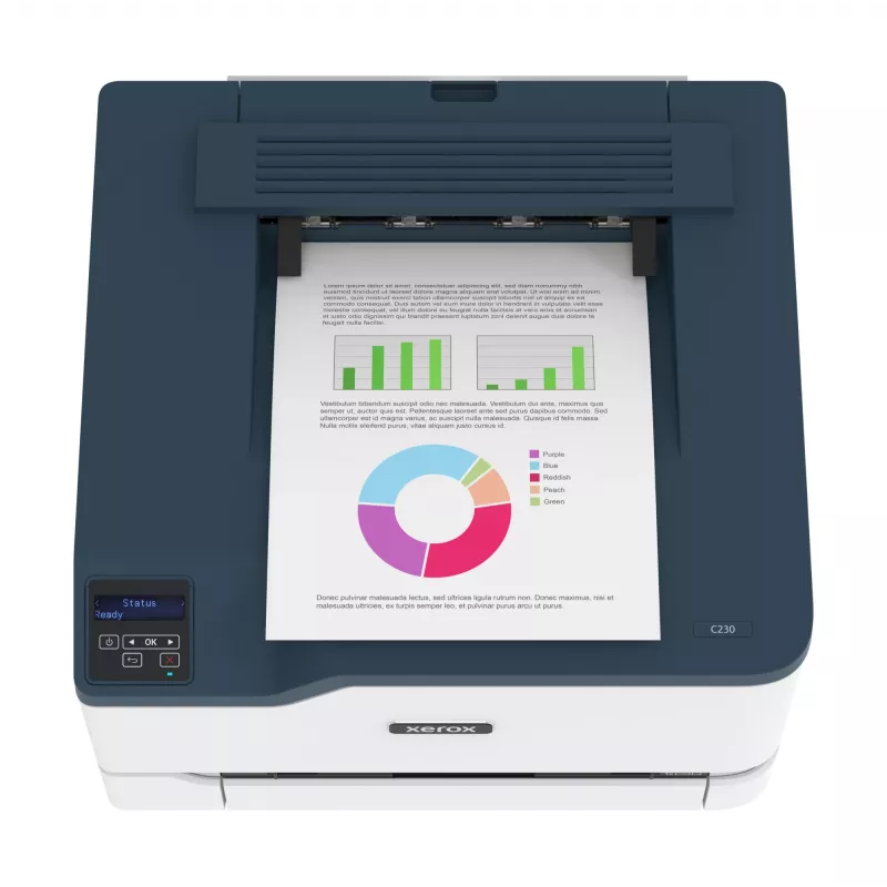 Xerox C230 A4 22ppm belaidis dvipusis spausdintuvas PS3 PCL5e6 2 dėklai, iš viso 251 lapas