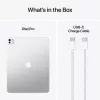 APPLE iPad Pro M5 - 13in - Wi-Fi - 256GB - Standard Glass - sidabrinis