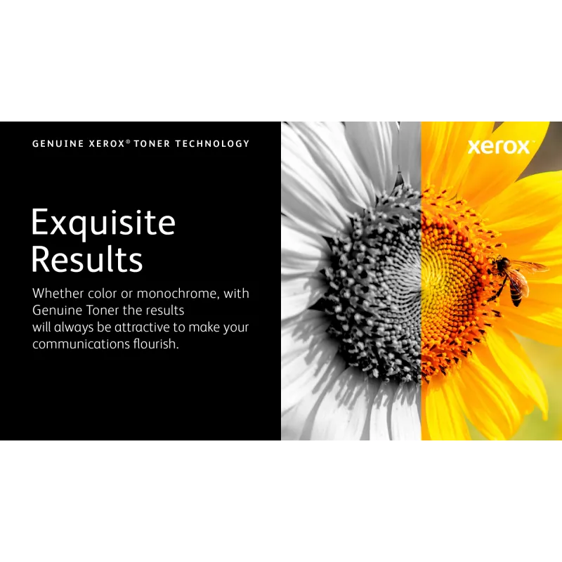 Xerox Genuine Phaser® 6510, WorkCentre® 6515 geltonos spalvos standartinės talpos dažų kasetė (1000 puslapių) - 106R03475