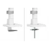 Neomounts DS65S-950WH2 Monitor laikiklis 24-34 colių - dujinė spyruoklė - Topfix - daugiafunkcis - 180° stabdiklis