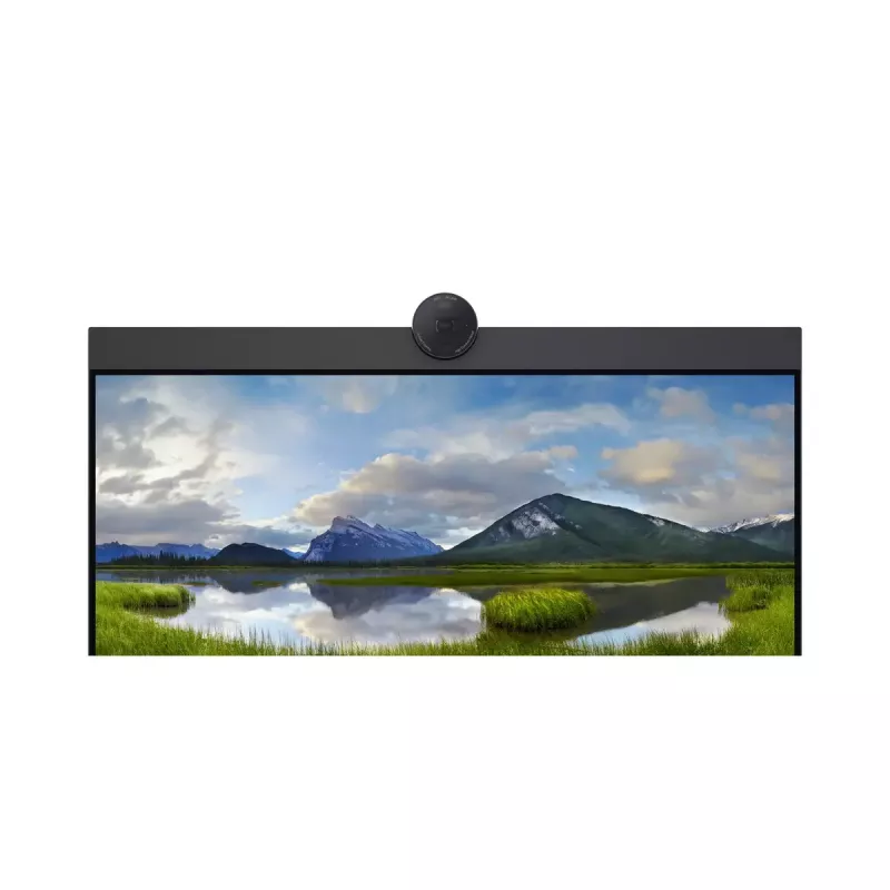DELL P2424HEB 60,5 cm (23,8 colio) LCD 1920 x 1080 pikselių Full HD
