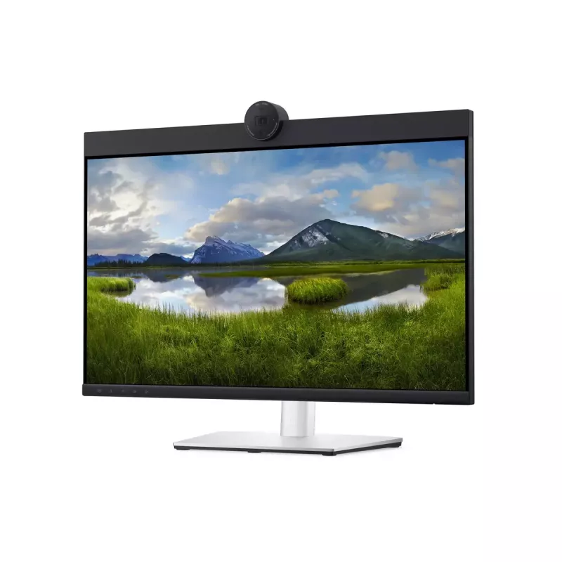 DELL P2424HEB 60,5 cm (23,8 colio) LCD 1920 x 1080 pikselių Full HD