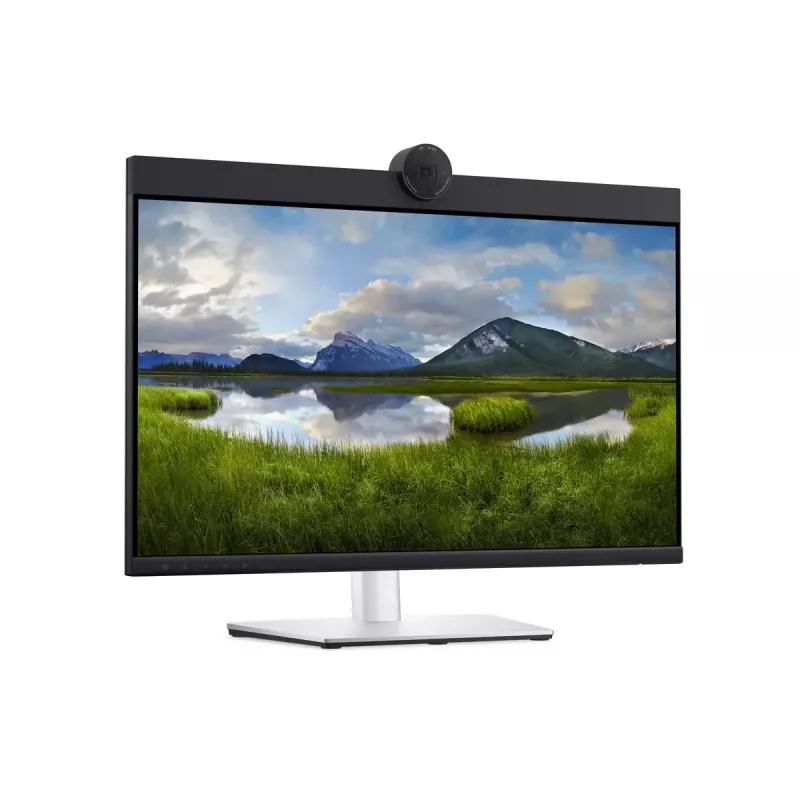 DELL P2424HEB 60,5 cm (23,8 colio) LCD 1920 x 1080 pikselių Full HD