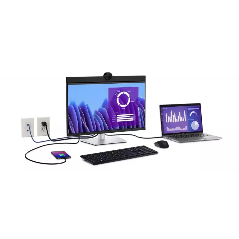 DELL P2424HEB 60,5 cm (23,8 colio) LCD 1920 x 1080 pikselių Full HD