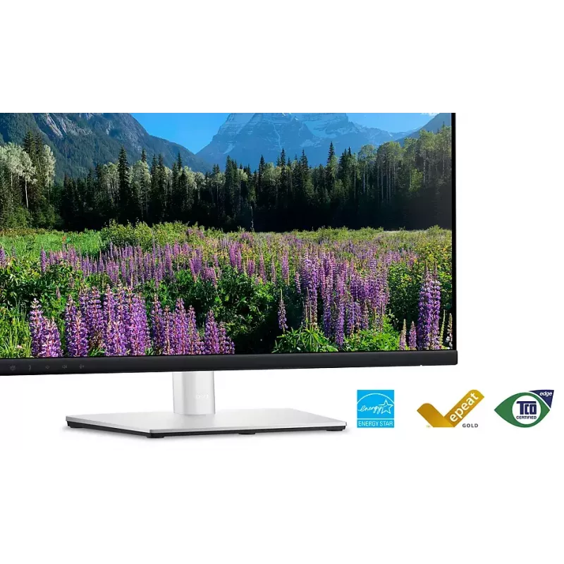 DELL P2424HEB 60,5 cm (23,8 colio) LCD 1920 x 1080 pikselių Full HD