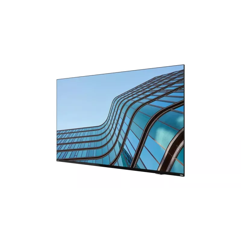 Lenovo ThinkVision E55 LFD kompiuterio monitorius 138,7 cm (54,6 colio) 3840 x 2160 pikselių 4K Ultra HD IPS juodas