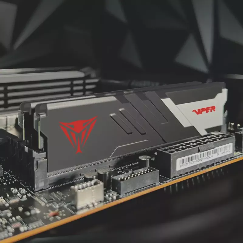 Stalinės DDR5 atminties PATRIOT Viper Venom 64 GB (2x32 GB) 6000 MHz CL36 1.35V su aušintuvu