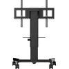 iiyama MD CAR1021-B1 monitor mount / stand 2.18 m (86 inch) Floor Juoda
