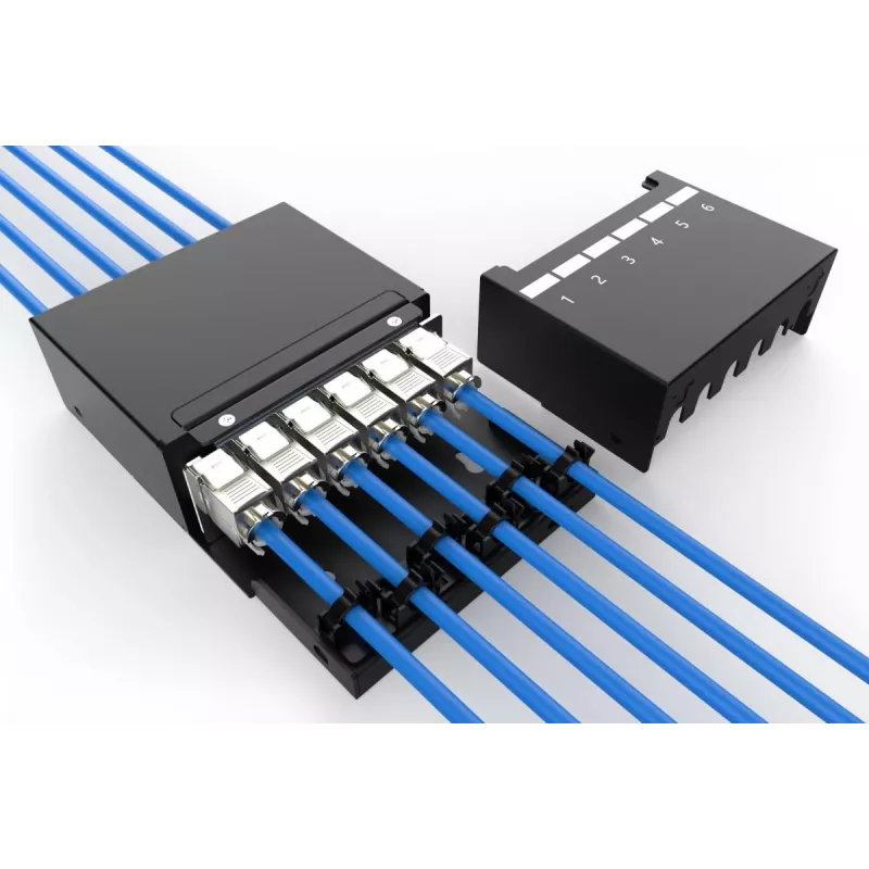 DIGITUS konsolidavimo taškų dėžutė - 6 prievadų Keystone moduliai su išmaniuoju kabelių tvarkytuvu