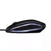 CHERRY GENTIX LAIDINGA APŠVIESTA PELĖ, Juoda, USB, Abirankė, Optinė, USB Type-A, 1000 DPI, Juoda
