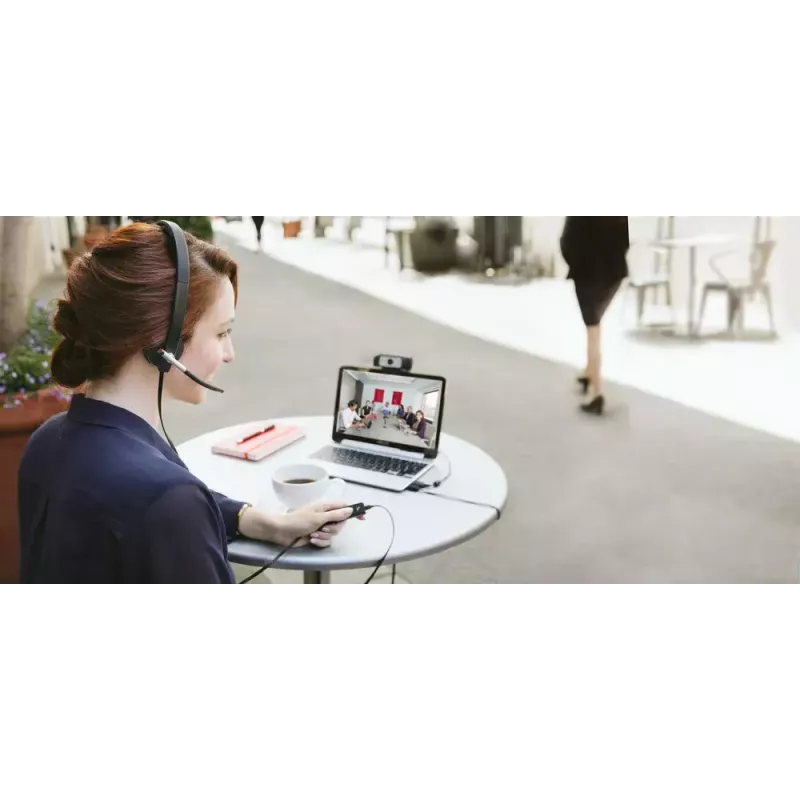 Ausinės Logitech H820e belaidės ausinės Mono