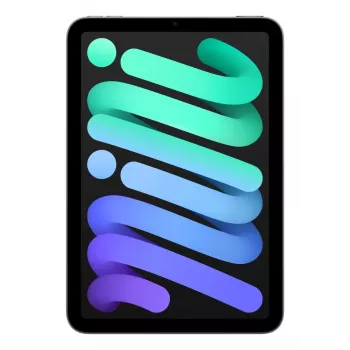APPLE iPad Mini Wi-Fi 256GB - Pilka kosminė