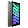 APPLE iPad Mini Wi-Fi 256GB - Pilka kosminė